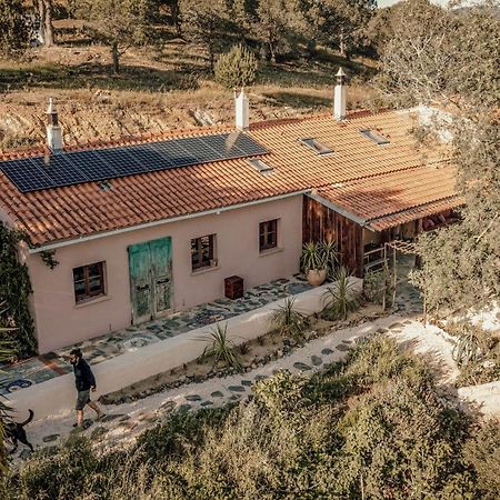 אלג'זור The Lemon Lodge מראה חיצוני תמונה