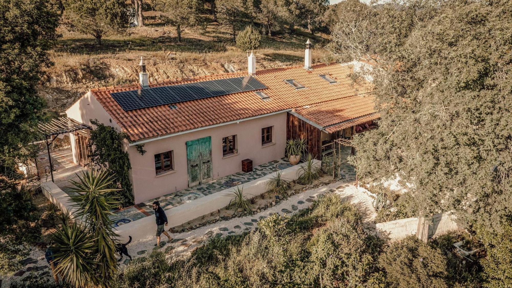 אלג'זור The Lemon Lodge מראה חיצוני תמונה