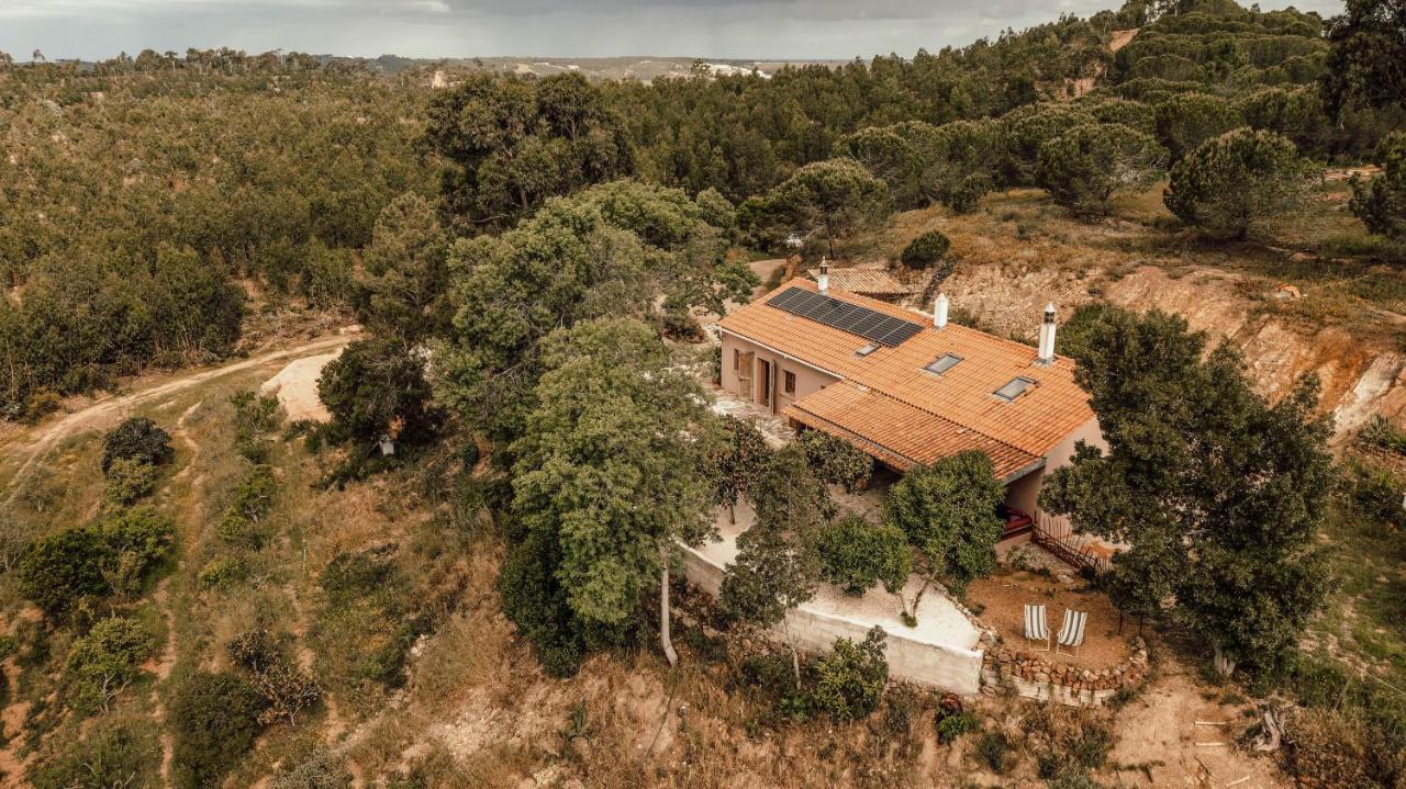 אלג'זור The Lemon Lodge מראה חיצוני תמונה